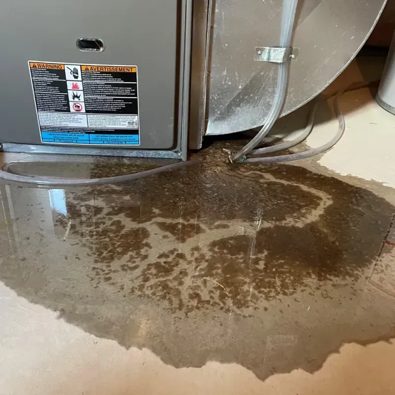 Appliance Leak Cleanup in Branford, CT